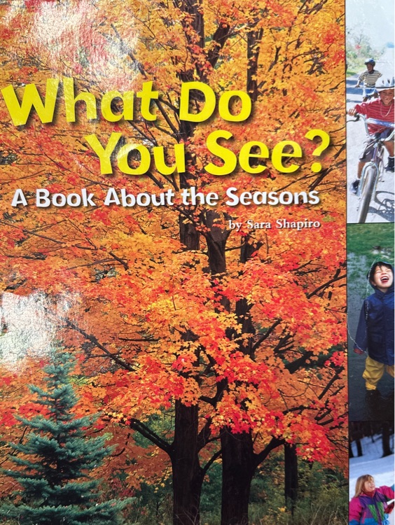 What Do You See? : A Book about the Se