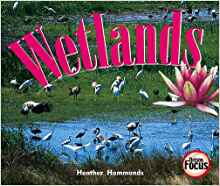Nelson Focus 3a Wetlands