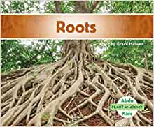 Roots (Plant Anatomy)