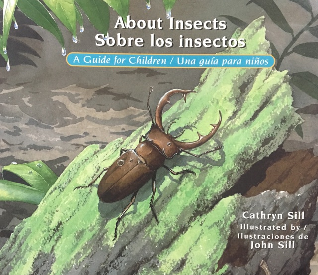 About insects