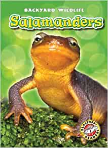 Salamanders (Blastoff! Readers: Backya