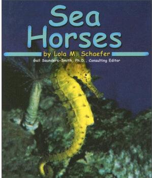 Sea Horses (Ocean Life)