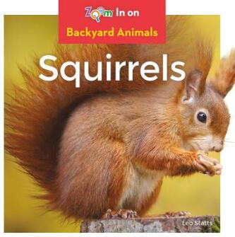 【4周达】Squirrels