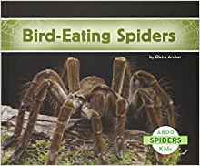 Bird-Eating Spiders (Abdo Kids: Spider