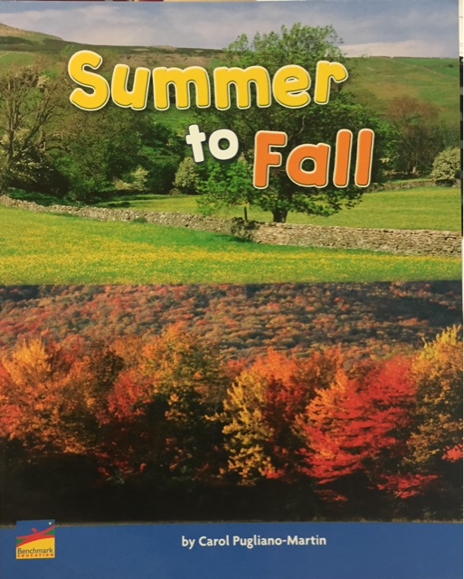 Summer to Fall