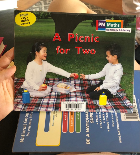 A picnic for two