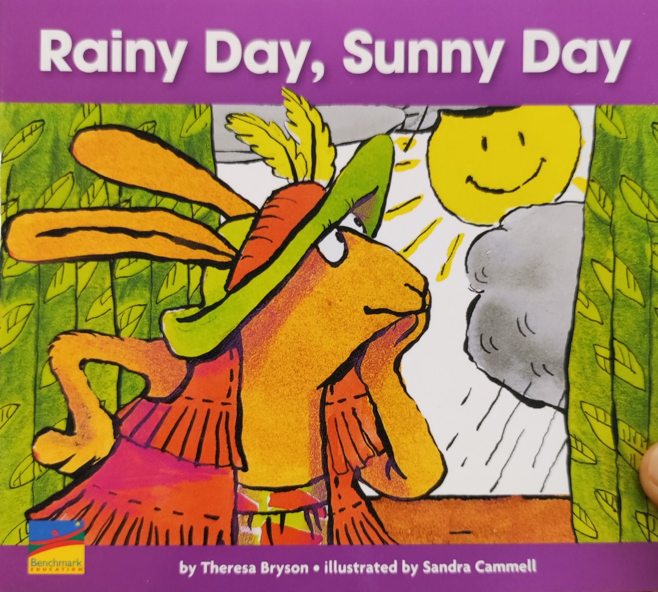 rainy day sunny day