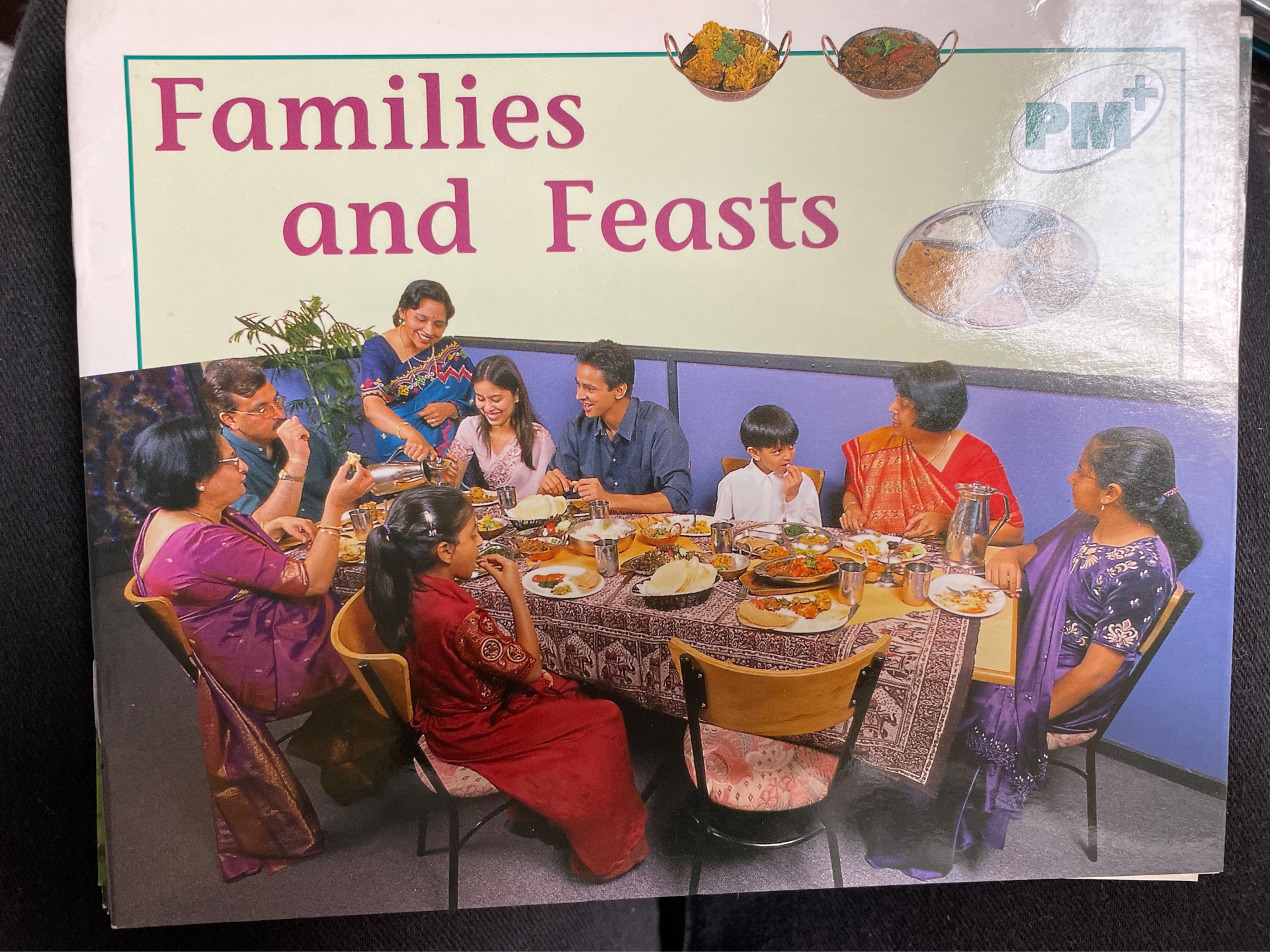 Families and Feasts PM PLUS Non Fictio