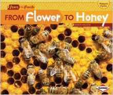 From Flower to Honey (Start to Finish,