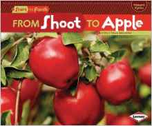 From Shoot to Apple (Start to Finish, 