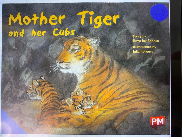 Mother Tiger and Her Cubs PM Plus Blue