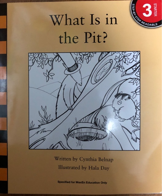 what is in the pit?
