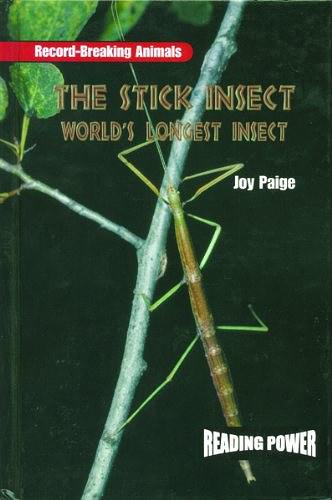The Stick Insect