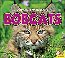 Bobcats (Animals in My Backyard)