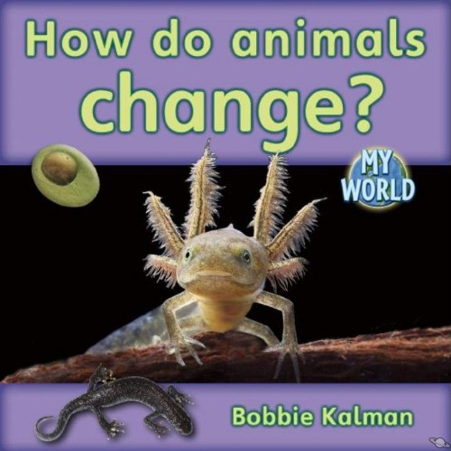 How do animals change