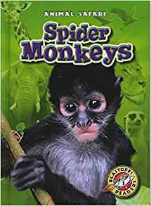 Spider Monkeys (Blastoff! Readers: Ani