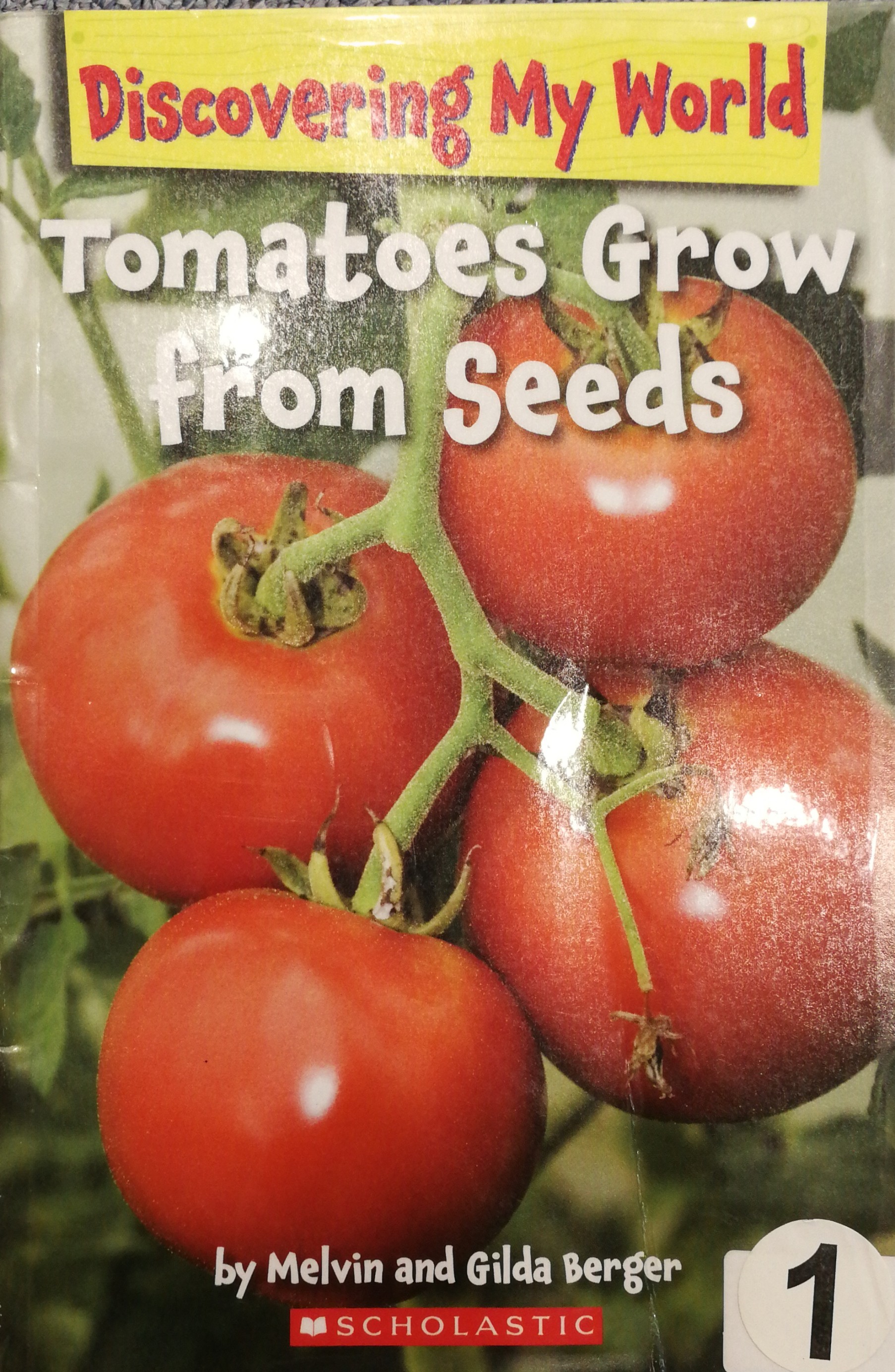 Tomatoes Grow From Seeds