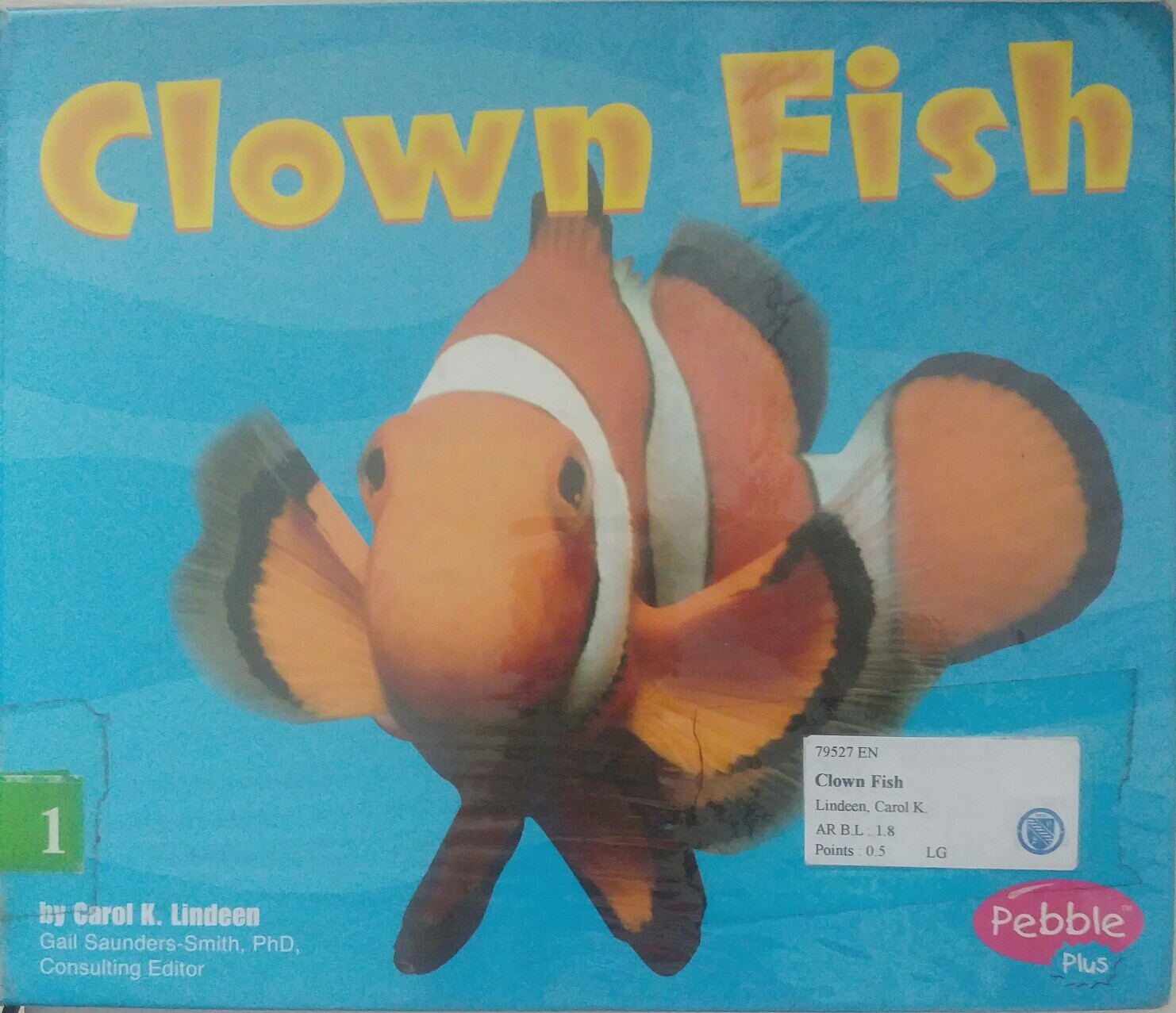 Clown fish