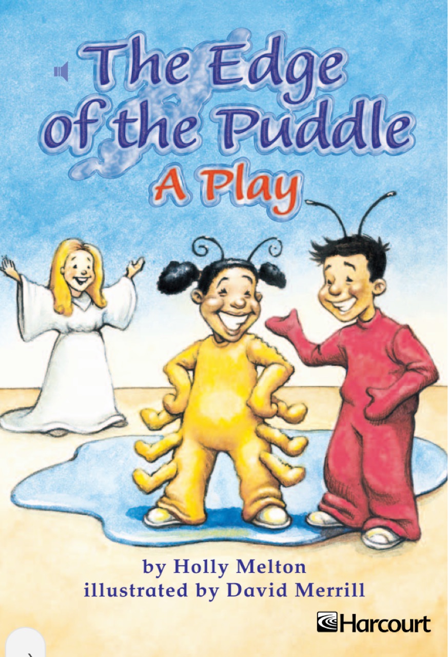 The Edge of the Puddle