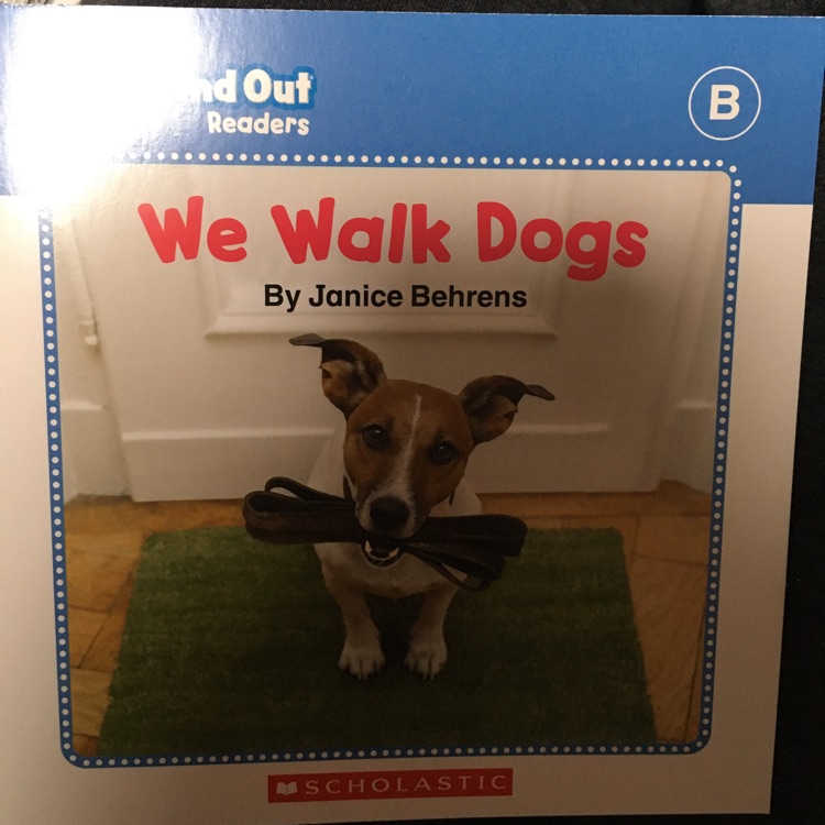 We walk dogs