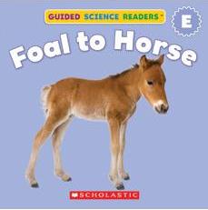 Guided Science Readers E: Foal to Hors
