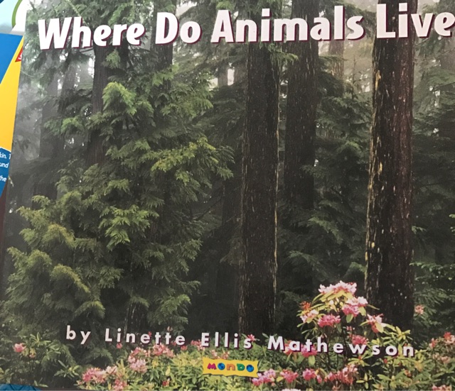 where  do animals live?