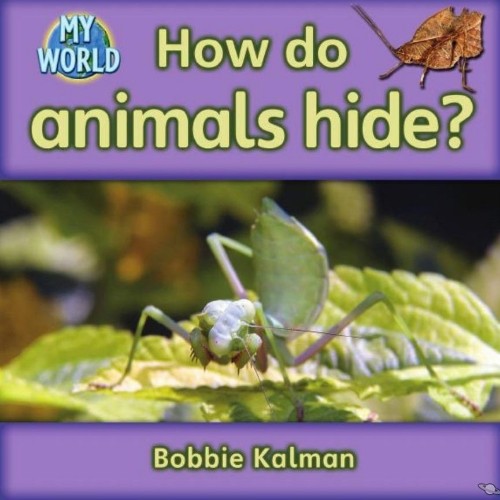 How do animals hide