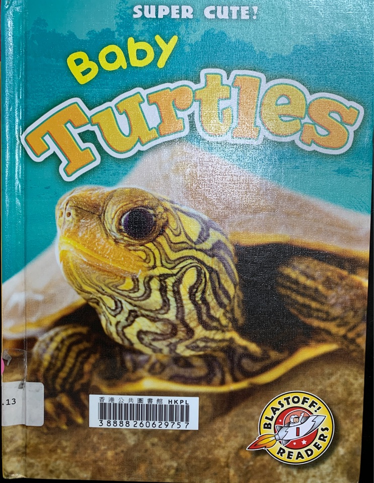 Baby turtles