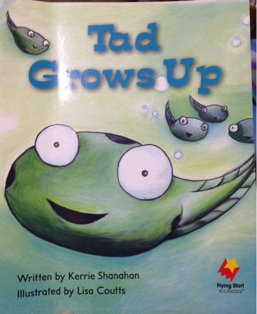 Tad grow up