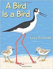 A Bird is a Bird