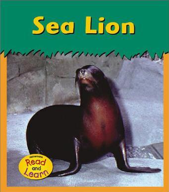Sea Lion