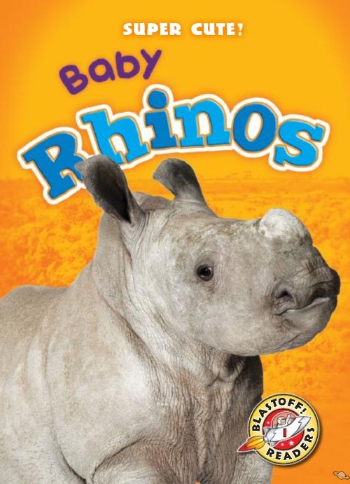 Baby Rhinos