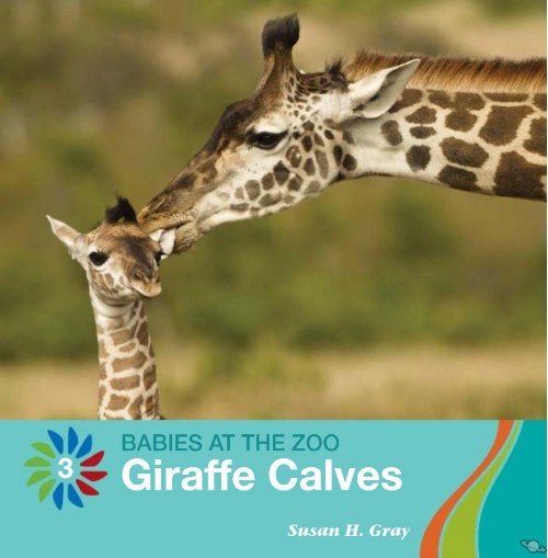 Giraffe Calves