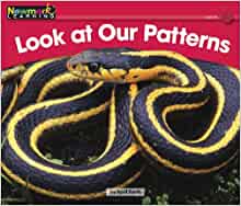 Look at Our Patterns (Rising Readers: 