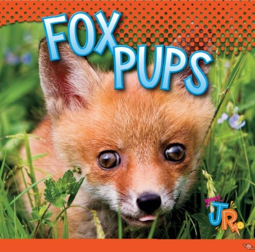 Fox Pups
