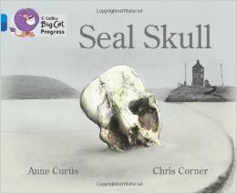 Collins Big Cat Progress - Seal Skull: