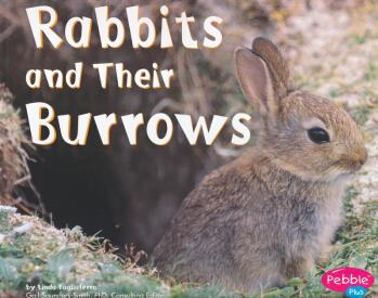 Rabbits and Their Burrows (Animal Home
