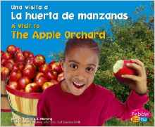 La huerta de manzanas / The Apple Orch