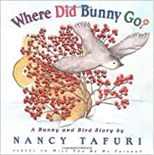 Where Did Bunny Go? A Bunny and Bird S