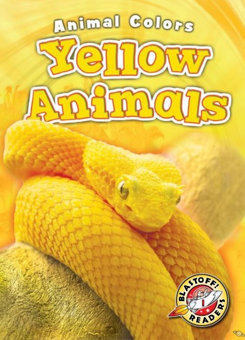 Yellow Animals
