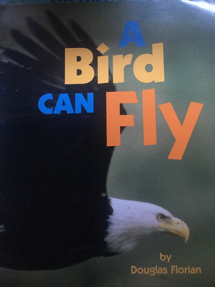 A Bird Can Fly