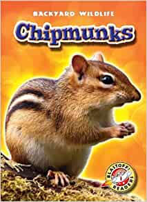 Chipmunks (Blastoff! Readers: Backyard