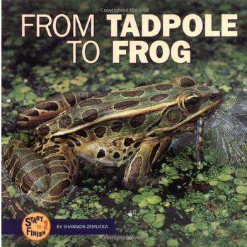 From Tadpole to Frog (Start to Finish)