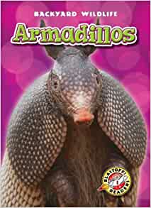 Armadillos (Blastoff! Readers: Backyar