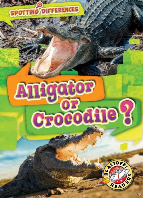 Alligator or Crocodile