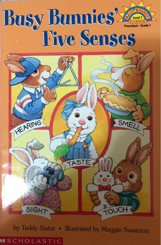busy bunnies' five sense