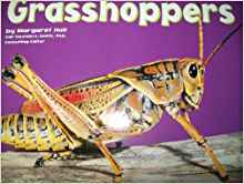 Grasshoppers [Scholastic] (Bugs, Bugs,