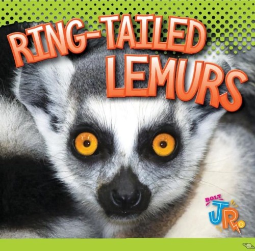 Ring-Tailed Lemurs