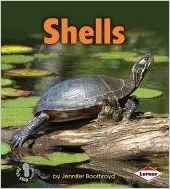 Shells (First Step Nonfiction) (First 