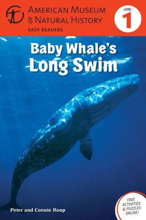 Baby Whale's Long Swim